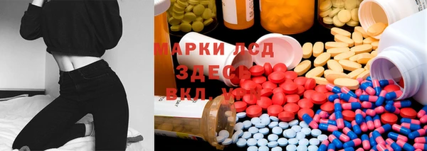 ПСИЛОЦИБИНОВЫЕ ГРИБЫ Арсеньев