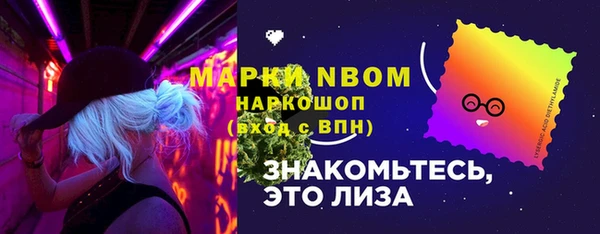 ПСИЛОЦИБИНОВЫЕ ГРИБЫ Арсеньев