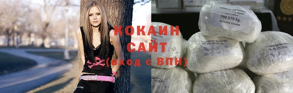 ПСИЛОЦИБИНОВЫЕ ГРИБЫ Арсеньев