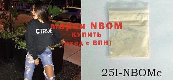 ПСИЛОЦИБИНОВЫЕ ГРИБЫ Арсеньев