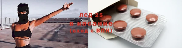 ПСИЛОЦИБИНОВЫЕ ГРИБЫ Арсеньев