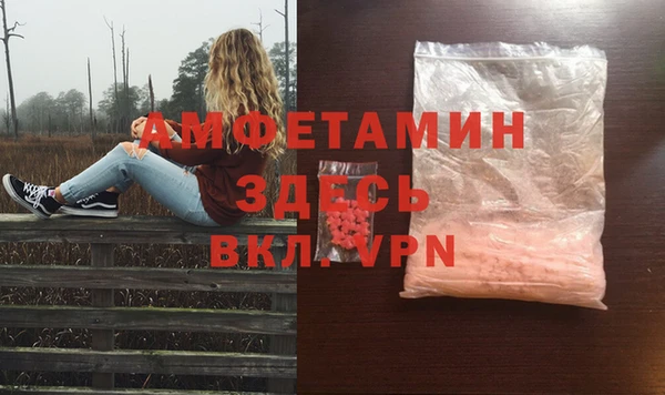 ПСИЛОЦИБИНОВЫЕ ГРИБЫ Арсеньев