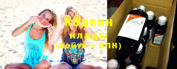 ПСИЛОЦИБИНОВЫЕ ГРИБЫ Арсеньев